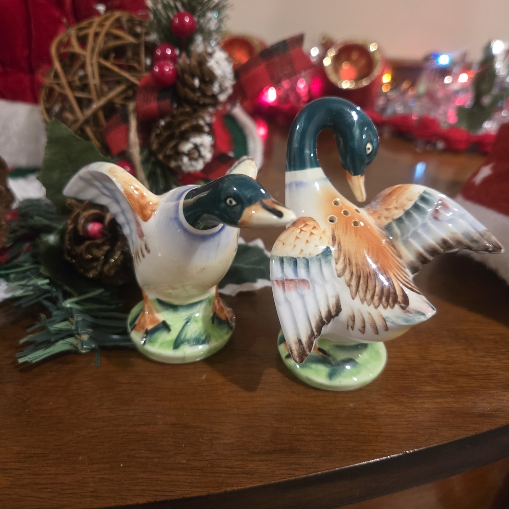 Vintage America Ceramic Duck Shakers - Green and Brown